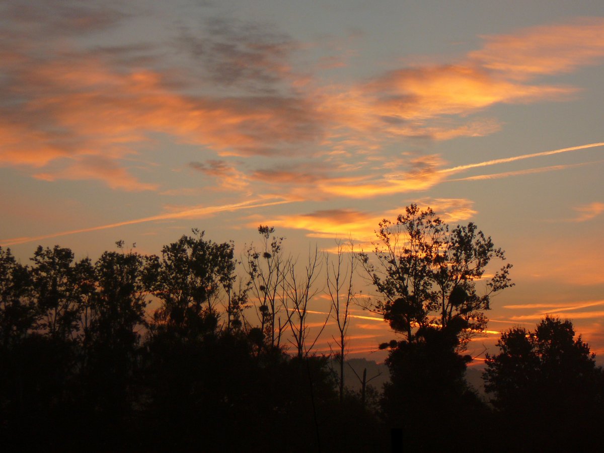 2012-09-Mammalogie-sortie brame